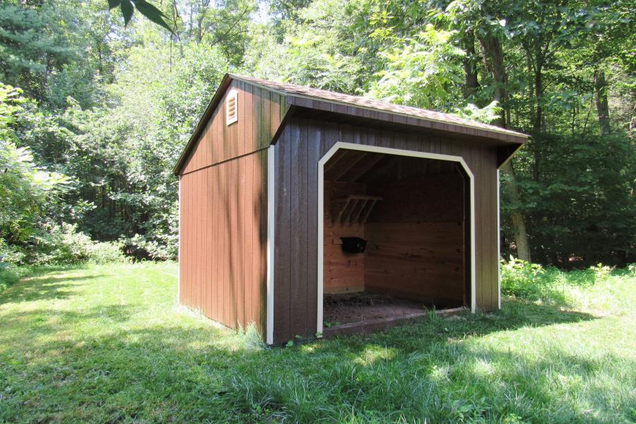 Run in Shed