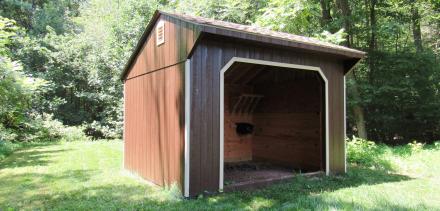 Run in Shed